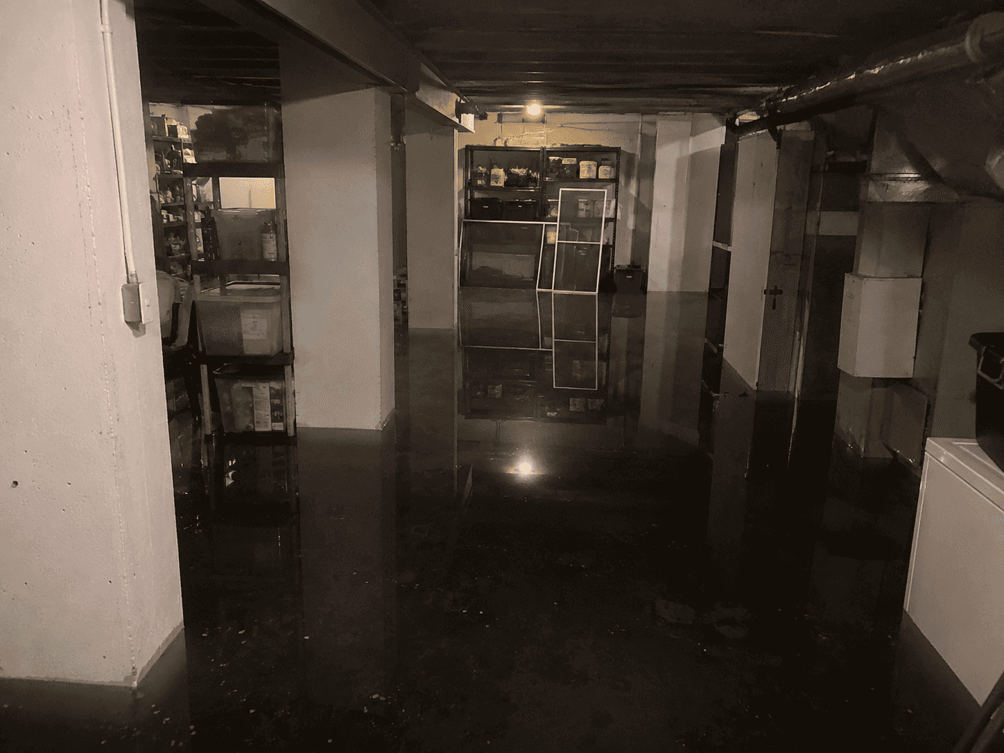 A basement backed up with sewage and water damage.