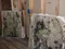 Moldy drywall with exposed studs.