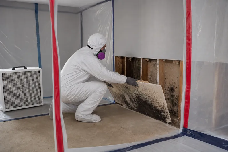 A mold remediation technician removes mold-damaged drywall inside a contained work area with HEPA filtration.