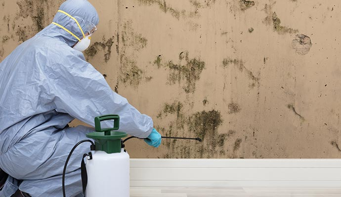 Mold Remediation